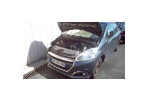 Vase de lave glace PEUGEOT 208 1 Photo n°9