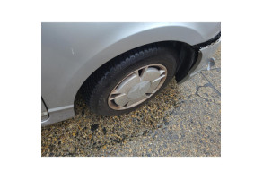 Avertisseur/Klaxon HONDA CIVIC 7 Photo n°8