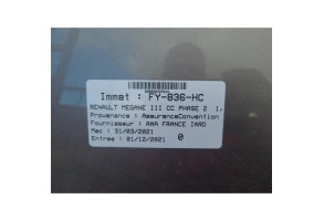Vitre arriere droit RENAULT GRAND SCENIC 4 Photo n°16