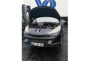 Malle/Hayon arriere PEUGEOT 207 Photo n°13