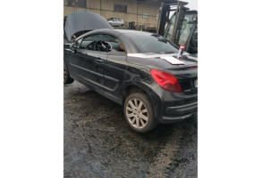 Malle/Hayon arriere PEUGEOT 207 Photo n°14