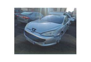 Malle/Hayon arriere PEUGEOT 407 Photo n°18