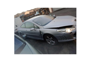 Malle/Hayon arriere PEUGEOT 407 Photo n°14