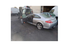 Malle/Hayon arriere PEUGEOT 407 Photo n°18