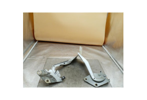 Charniere de capot RENAULT FLUENCE Photo n°2