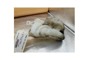 Vase de lave glace CITROEN C3 2 Photo n°1