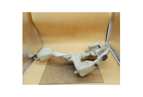 Vase de lave glace MINI MINI 2 R55 Photo n°2