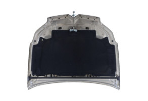 Capot CITROEN C5 1 Photo n°6