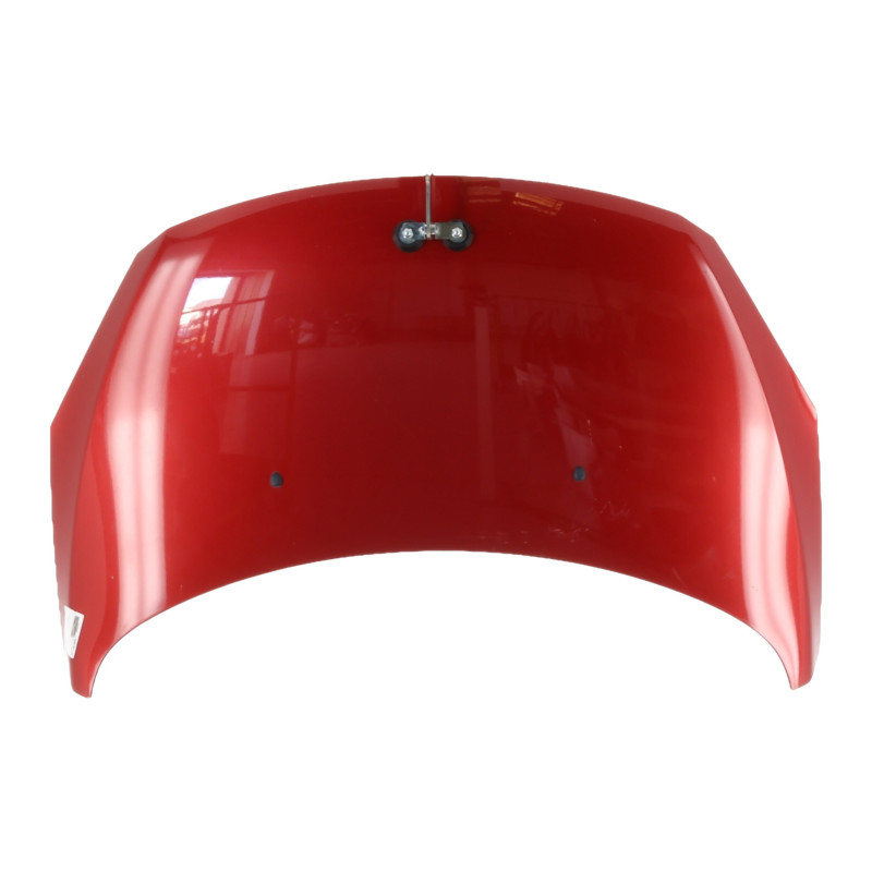 Capot PEUGEOT 307 Photo n°1