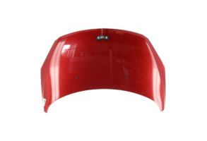 Capot PEUGEOT 307 Photo n°1