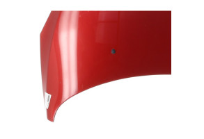 Capot PEUGEOT 307 Photo n°5