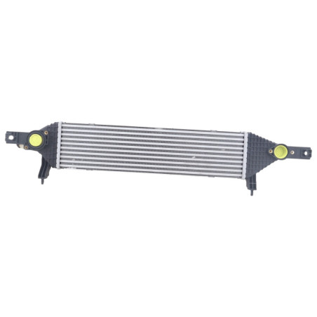 Echangeur air (Intercooler) NISSAN QASHQAI 1