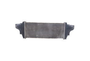Echangeur air (Intercooler) MERCEDES CLASSE M 164 Photo n°2