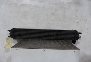 Echangeur air (Intercooler) RENAULT LAGUNA 3