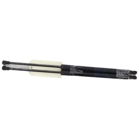 Verin de coffre BMW SERIE 1 F20