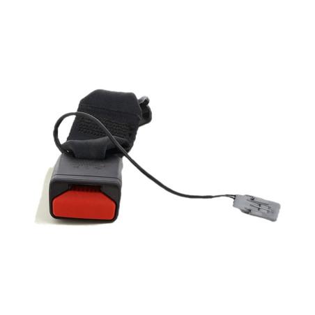 Attache ceinture arriere droit RENAULT CLIO 5