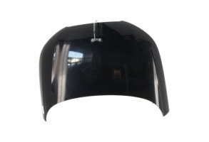 Capot AUDI A1 1 Photo n°1