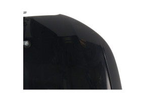 Capot AUDI A1 1 Photo n°3