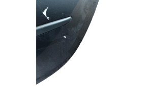 Porte arriere gauche RENAULT CLIO 3 Photo n°3