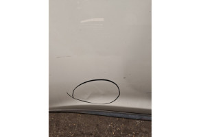 Porte avant gauche NISSAN JUKE 1 Photo n°8
