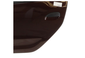 Porte arriere gauche DACIA SANDERO 2 Photo n°4