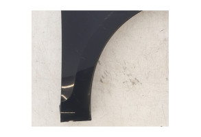 Aile avant droit RENAULT SCENIC 3 Photo n°4