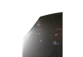 Capot DACIA SANDERO 1 Photo n°3