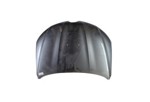 Capot RENAULT ARKANA Photo n°2