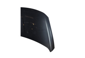Capot PEUGEOT 3008 1 Photo n°4