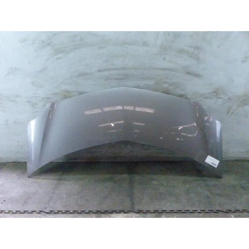 Capot RENAULT GRAND MODUS Photo n°1