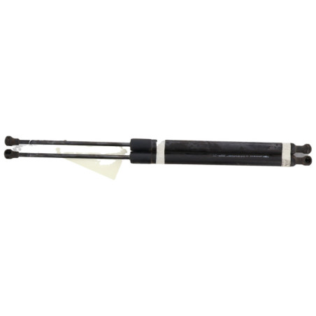 Verin de coffre RENAULT SCENIC 3