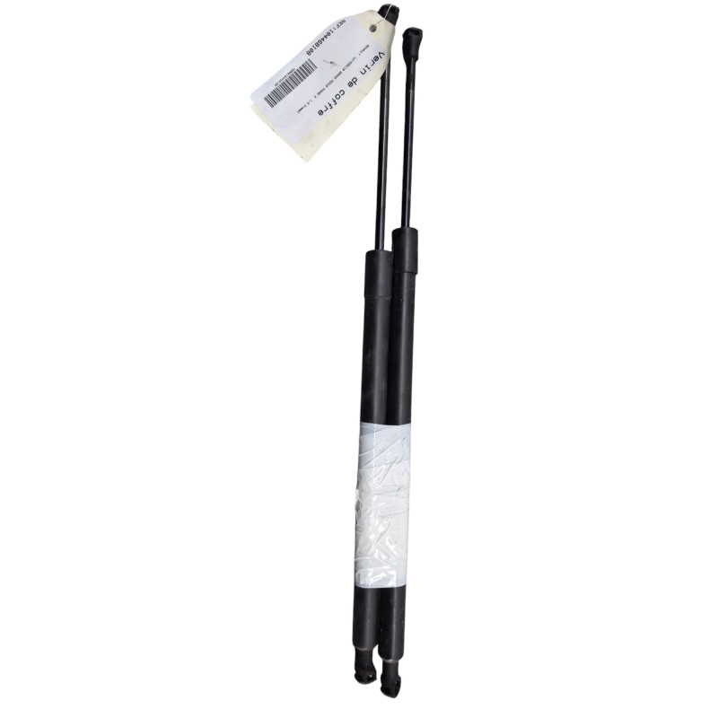Verin de coffre RENAULT GRAND MODUS Photo n°1