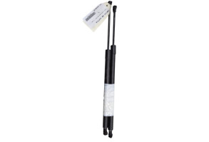 Verin de coffre RENAULT GRAND MODUS Photo n°1