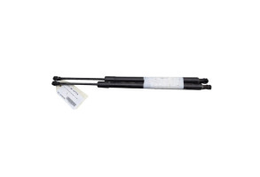 Verin de coffre RENAULT GRAND MODUS Photo n°2