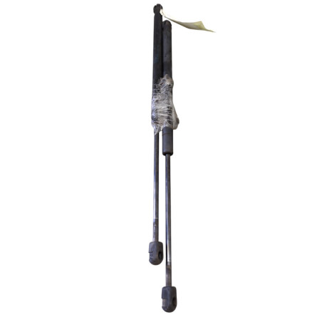 Verin de coffre MINI MINI 2 R60