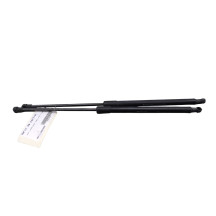 Verin de coffre NISSAN QASHQAI 1 Photo n°6