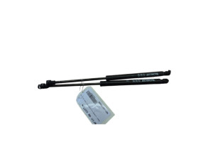 Verin de coffre RENAULT CLIO 2 CAMPUS Photo n°1