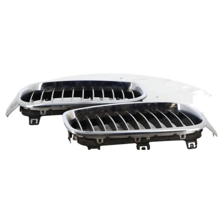 Calandre BMW SERIE 3 F30