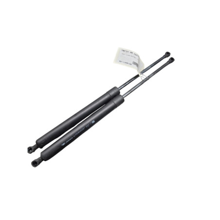 Verin de coffre RENAULT MODUS