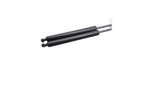 Verin de coffre RENAULT MODUS Photo n°4