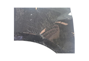 Aile avant gauche RENAULT CLIO 3 Photo n°3