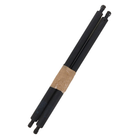 Verin de coffre BMW SERIE 2 F46