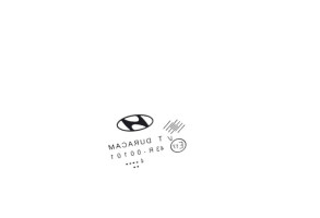 Custode arriere droit (porte) HYUNDAI I 20 1 Photo n°1