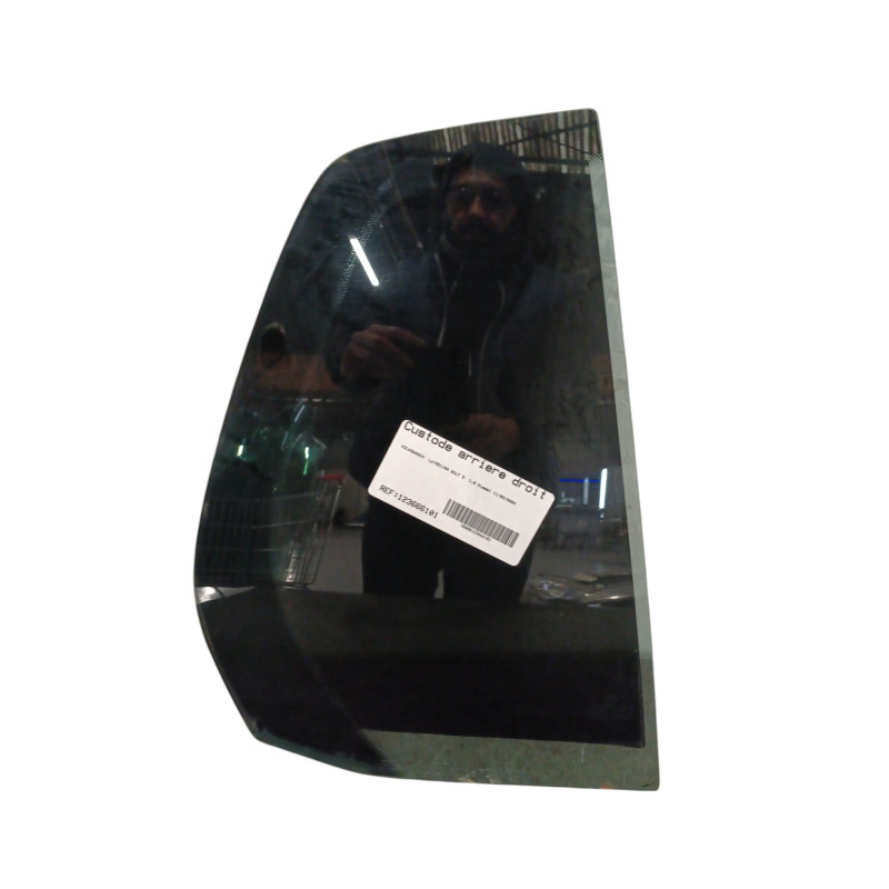 Custode arriere droit (porte) VOLKSWAGEN GOLF 5 Photo n°1