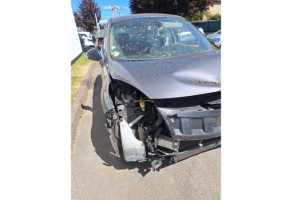 Custode avant gauche (porte) RENAULT SCENIC 3 Photo n°7