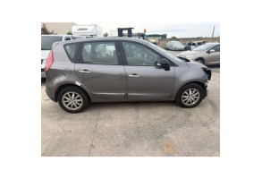 Custode avant gauche (porte) RENAULT SCENIC 3 Photo n°10
