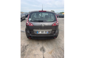 Custode avant gauche (porte) RENAULT SCENIC 3 Photo n°11