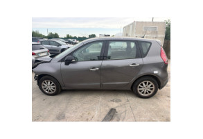 Custode avant gauche (porte) RENAULT SCENIC 3 Photo n°12