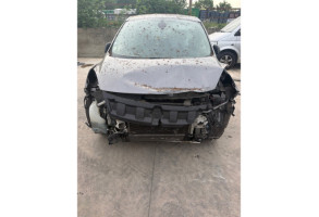 Custode avant gauche (porte) RENAULT SCENIC 3 Photo n°15