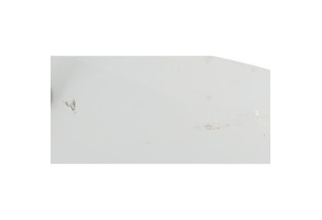 Capot CITROEN C3 2 Photo n°6